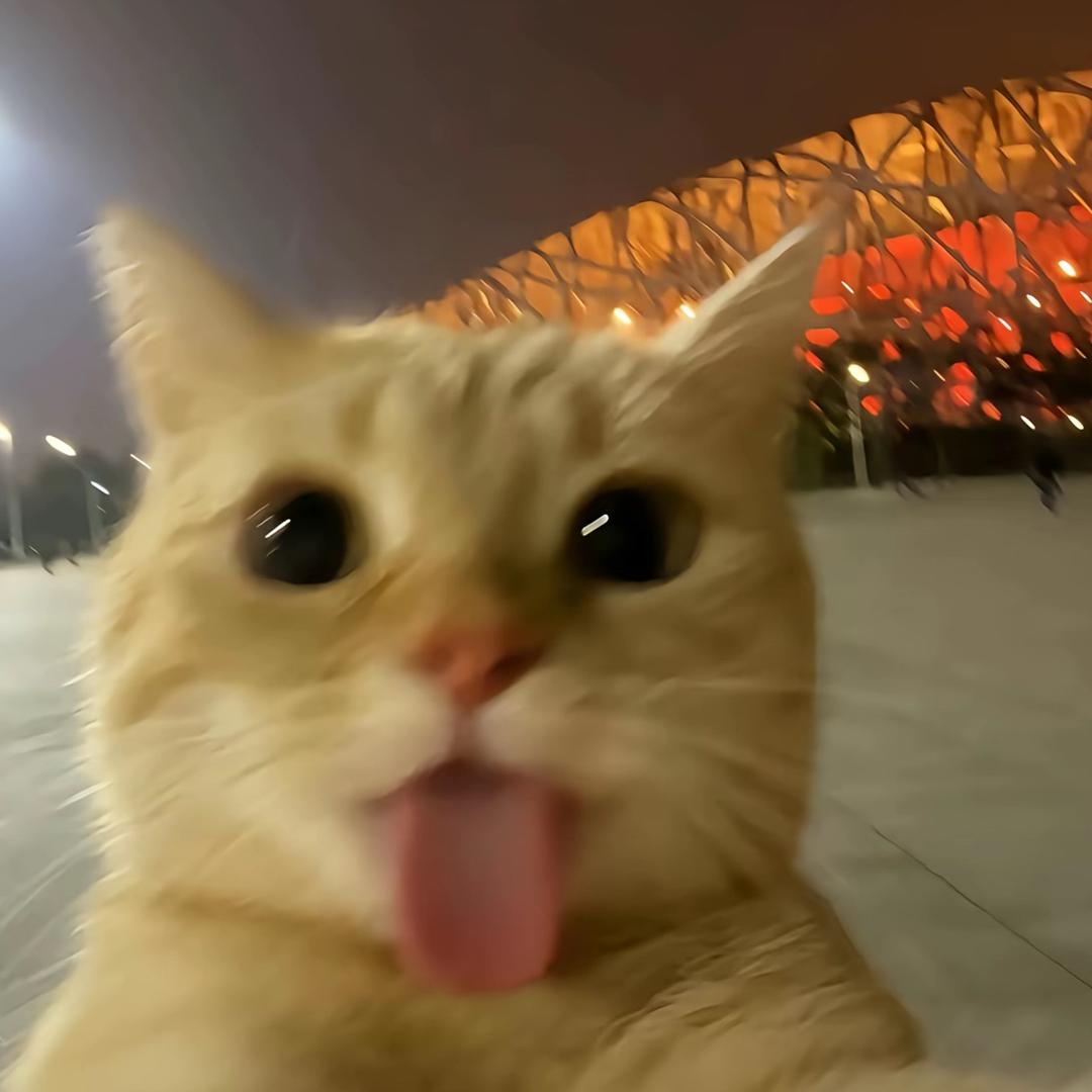 眼泪拌饭
