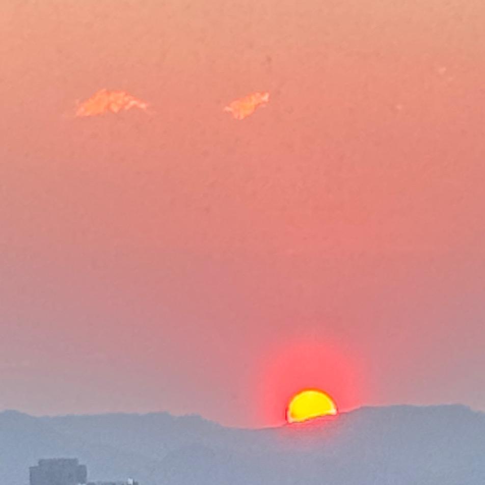 duoduo(努力生活版）