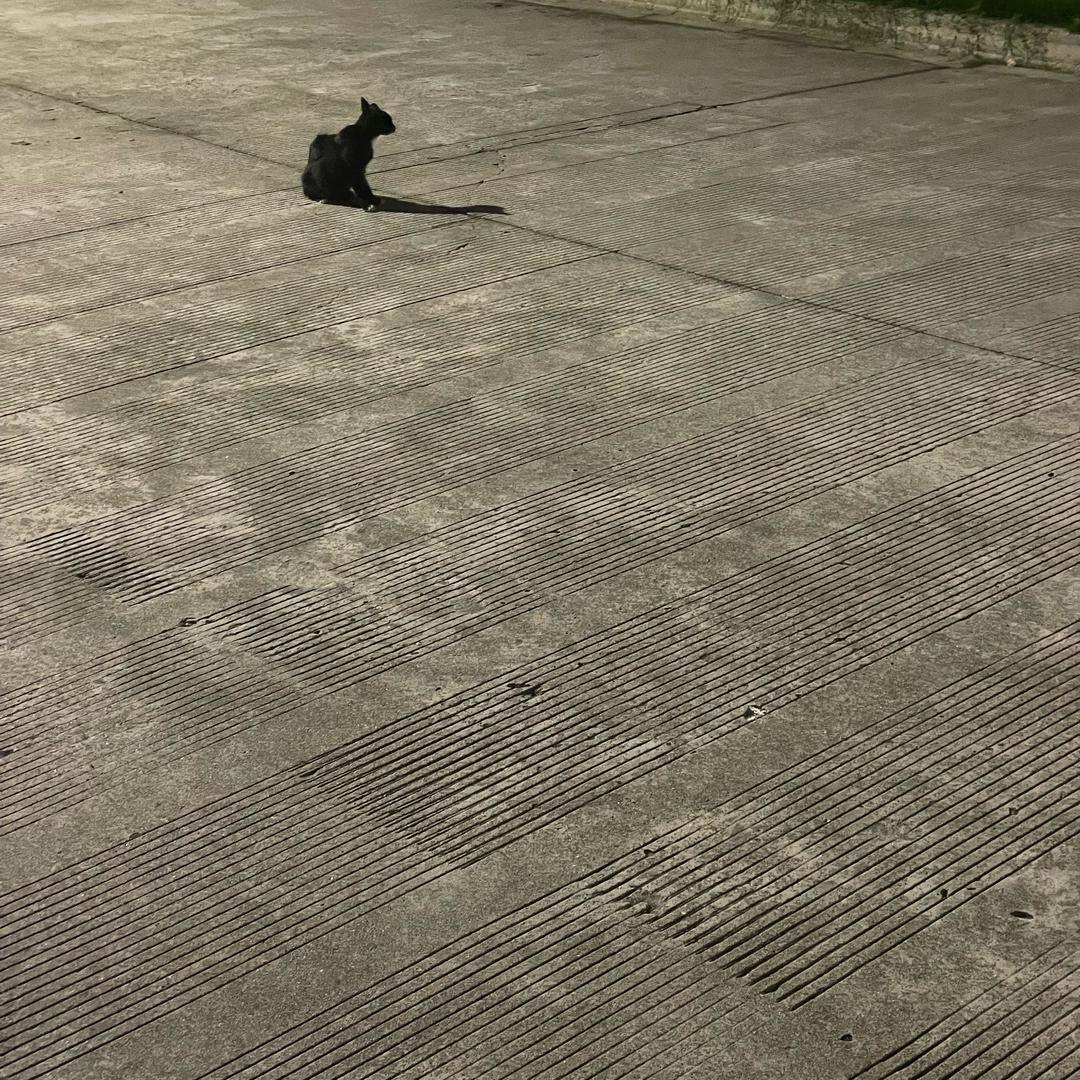 走路走慢点