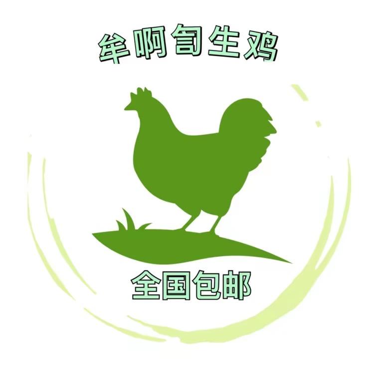 广河牟啊訇手工清真鸡肉供应链