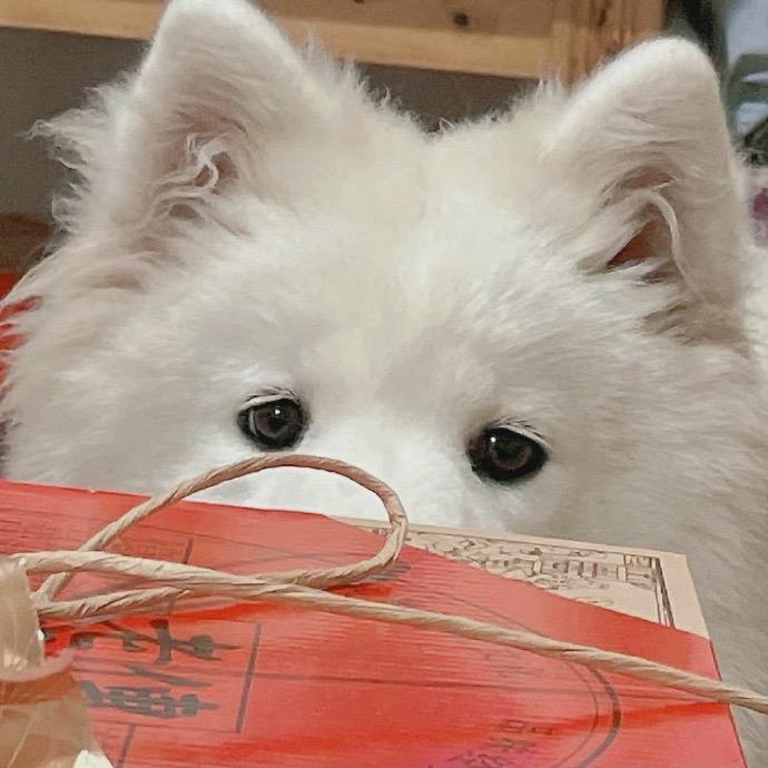 有点别扭（11.4登船版）