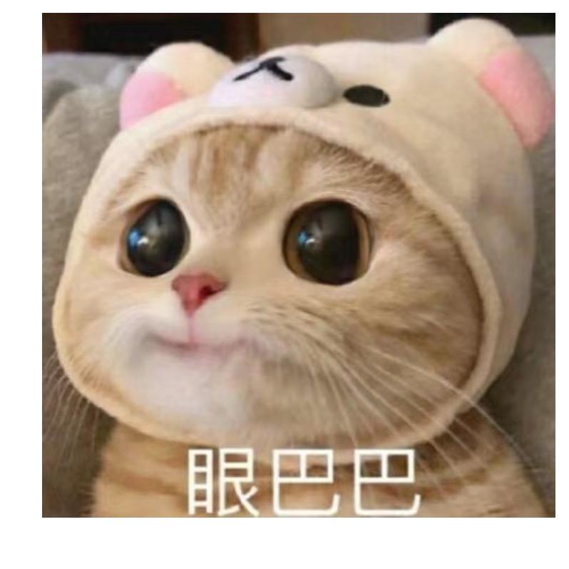 🌸嗷呜🍃🍃