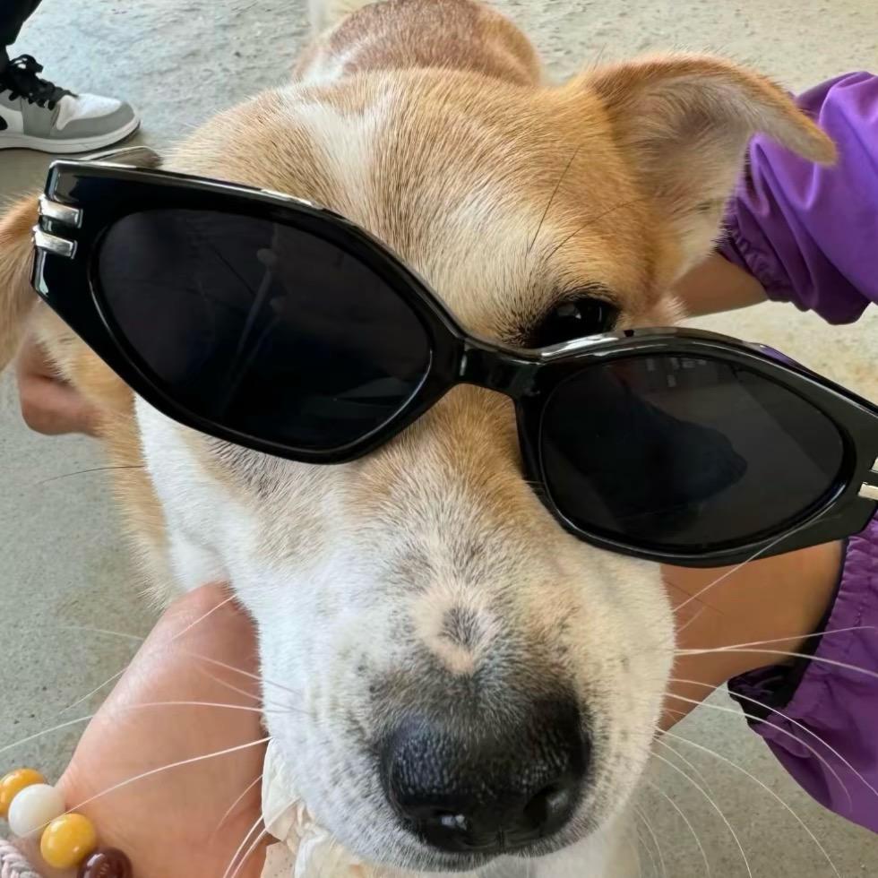 🍎🌾（见过十个勤天版）