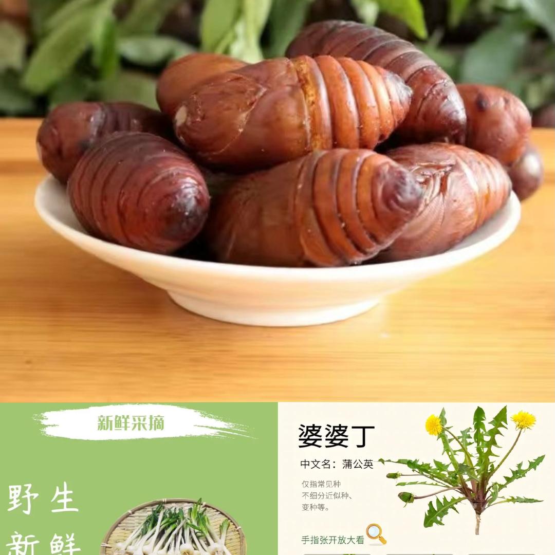 大贺蚕蛹山野菜