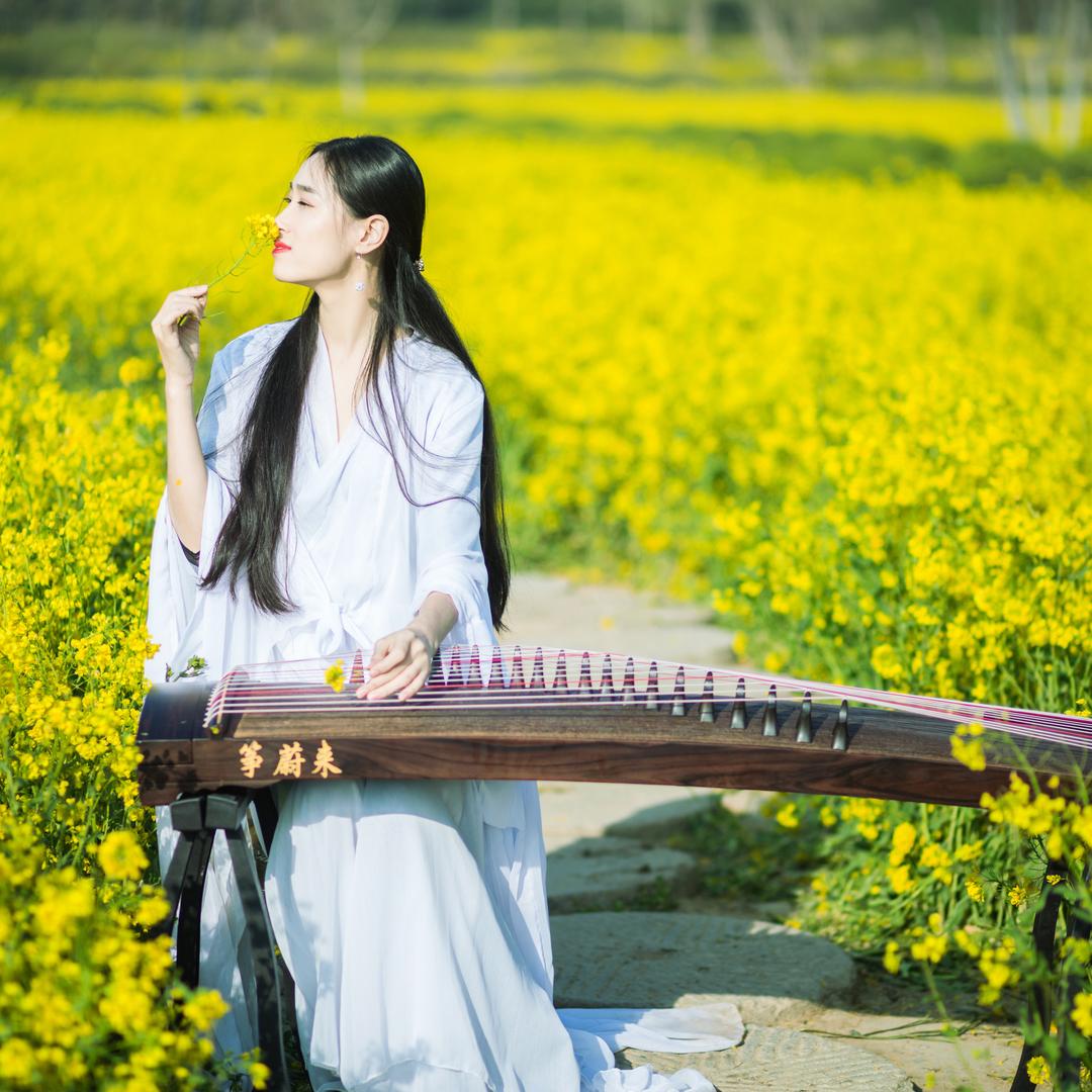 会弹琴的小趴菜