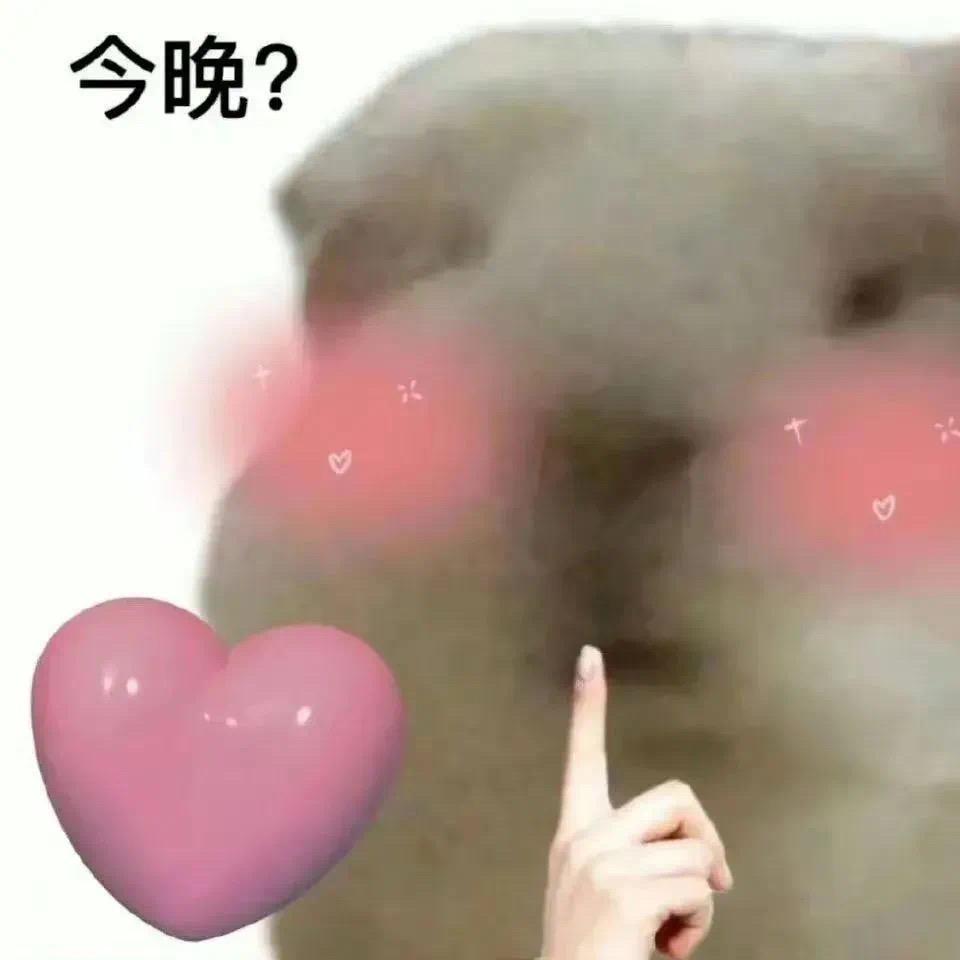 小酱油
