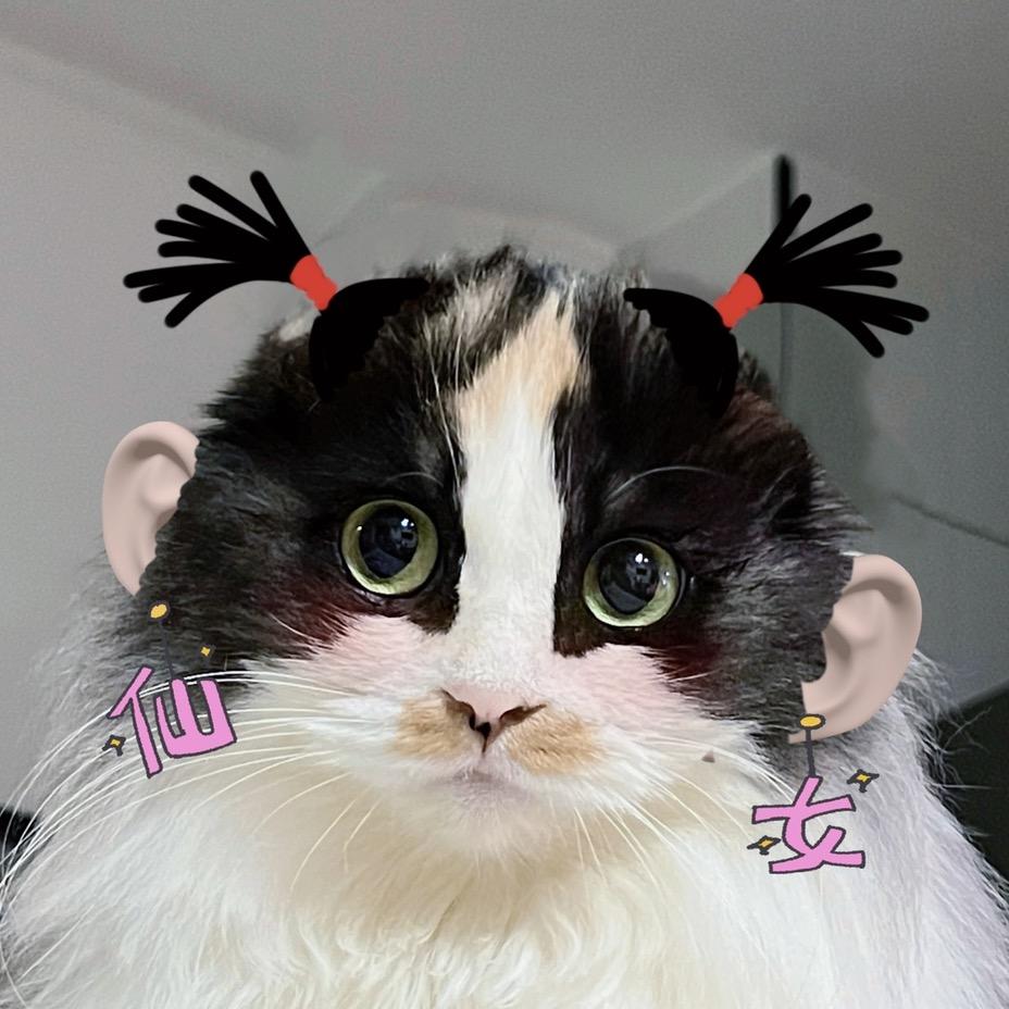 王漂亮乖乖吃饭了吗