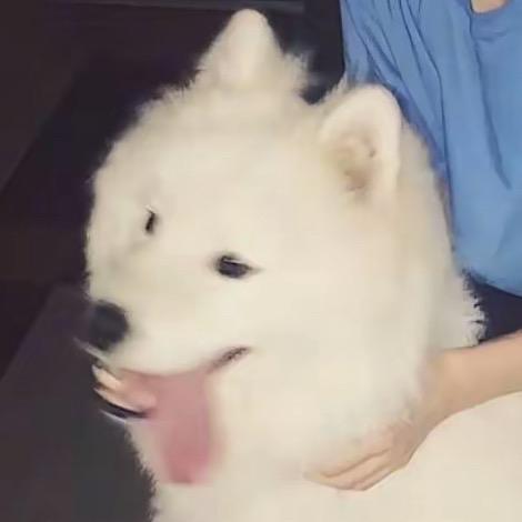 做个有钱人.