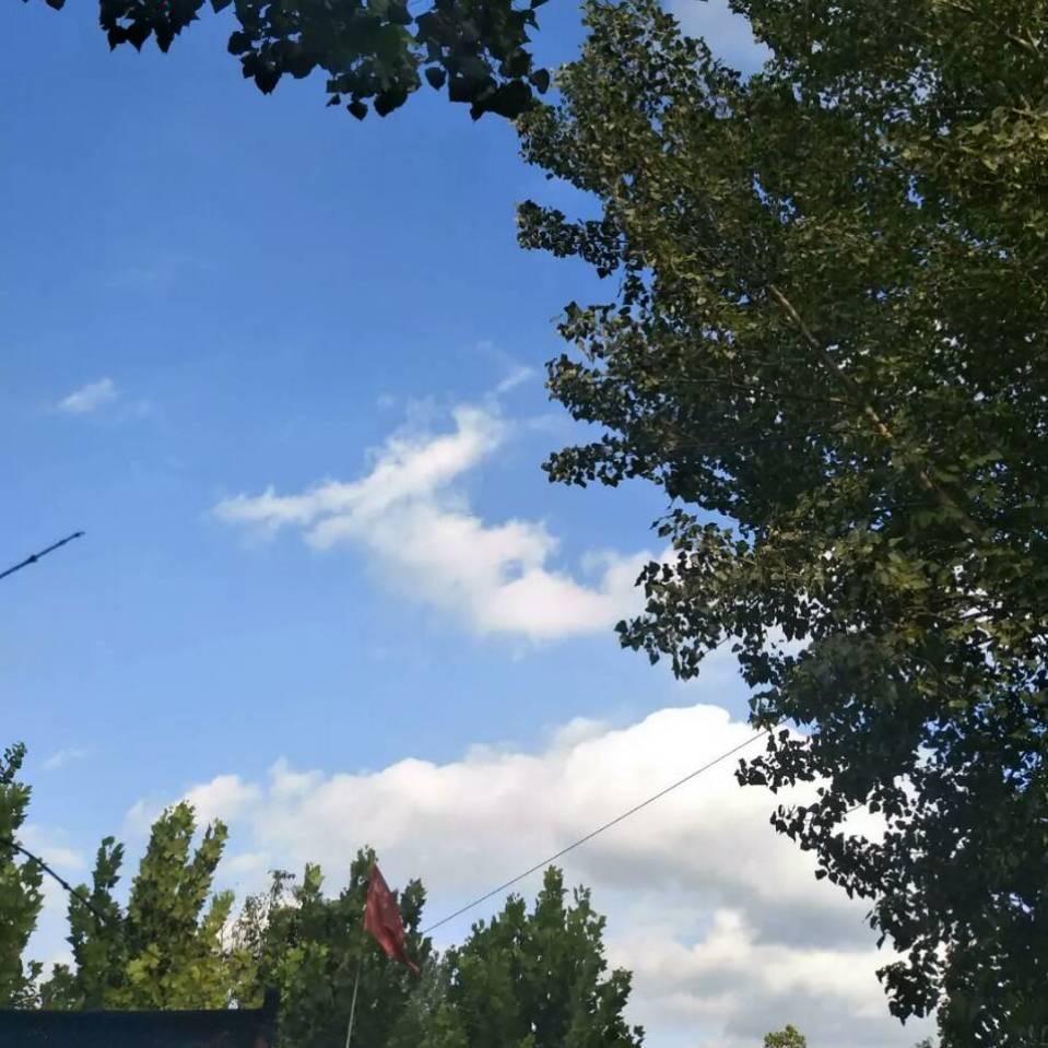 🫑🌋（社旗日结）