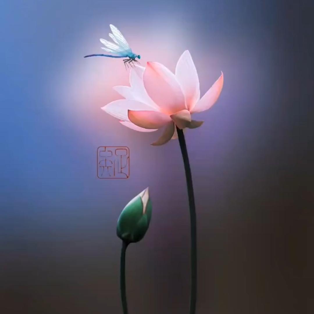 张老师健康分享