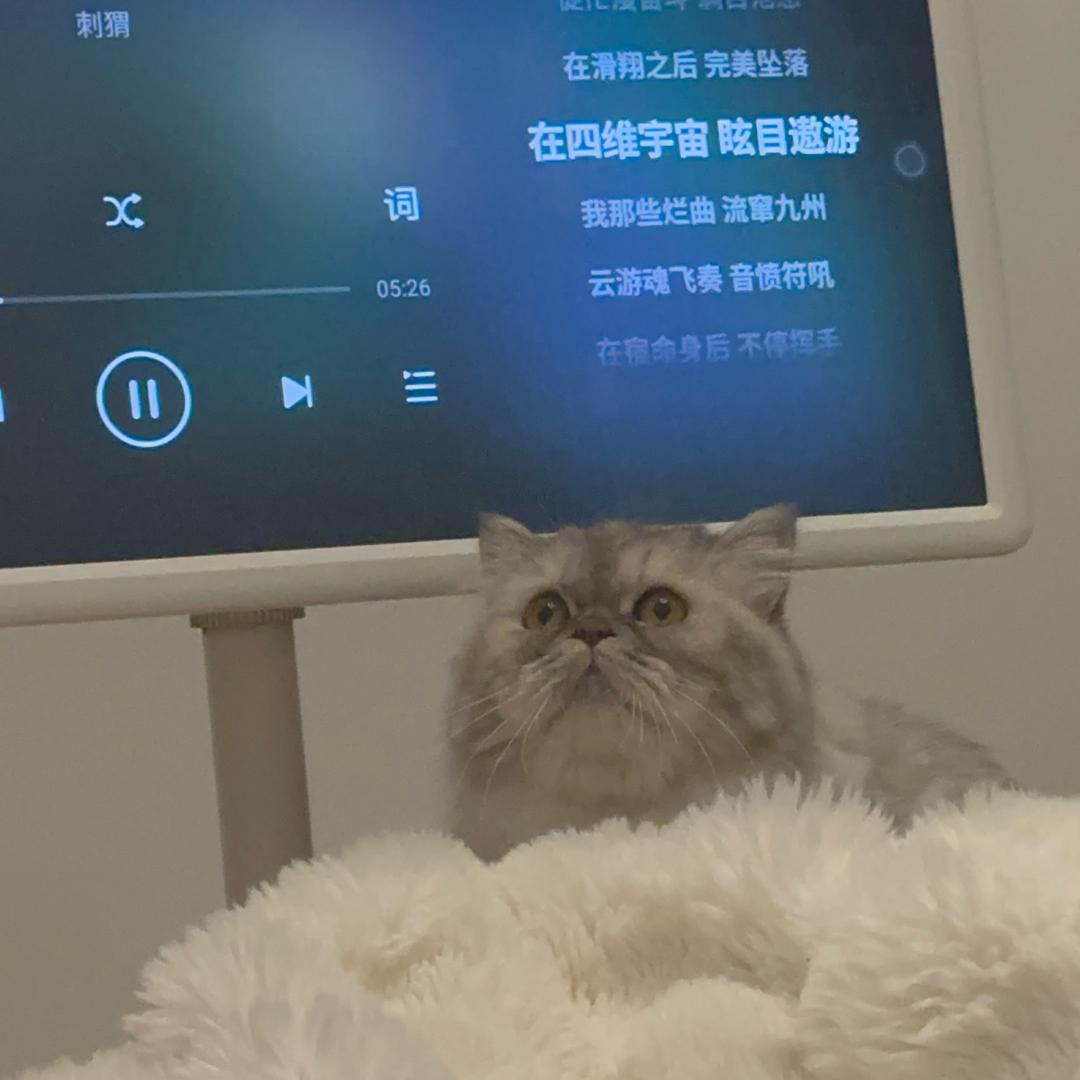 蘑菇菇早点睡