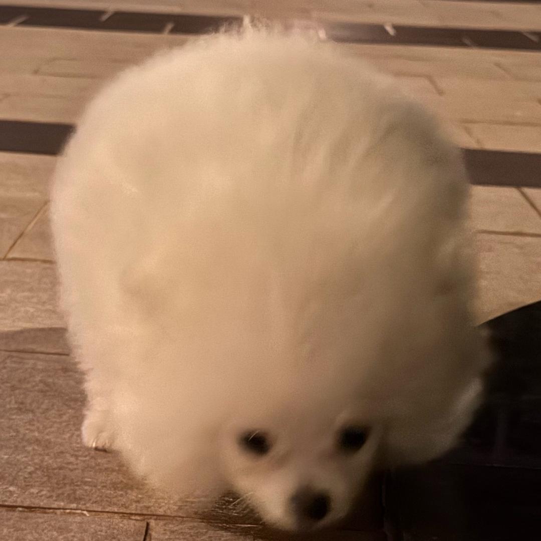 翰