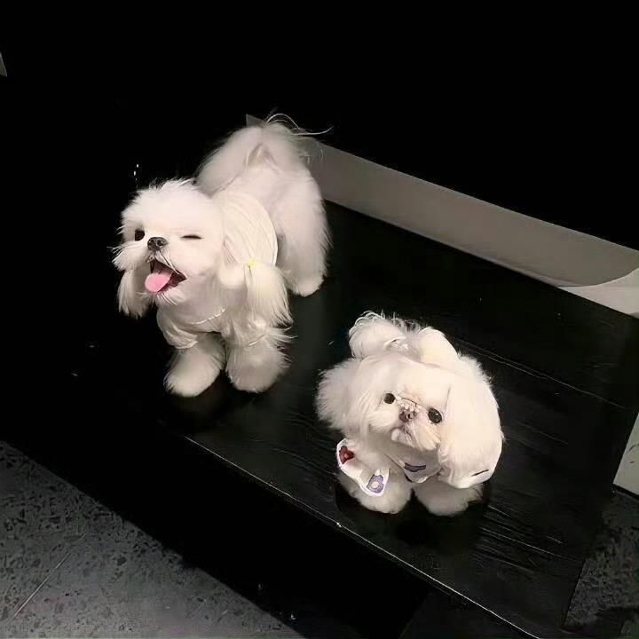 时宜
