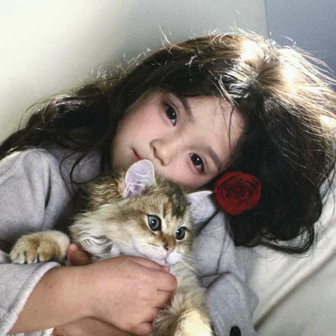 高冷咕噜肉🧸
