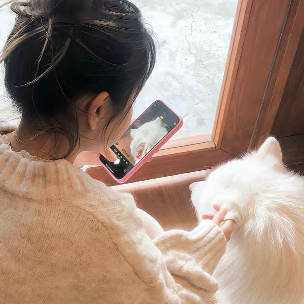 成都海霸王冻品批发 蓉妹儿