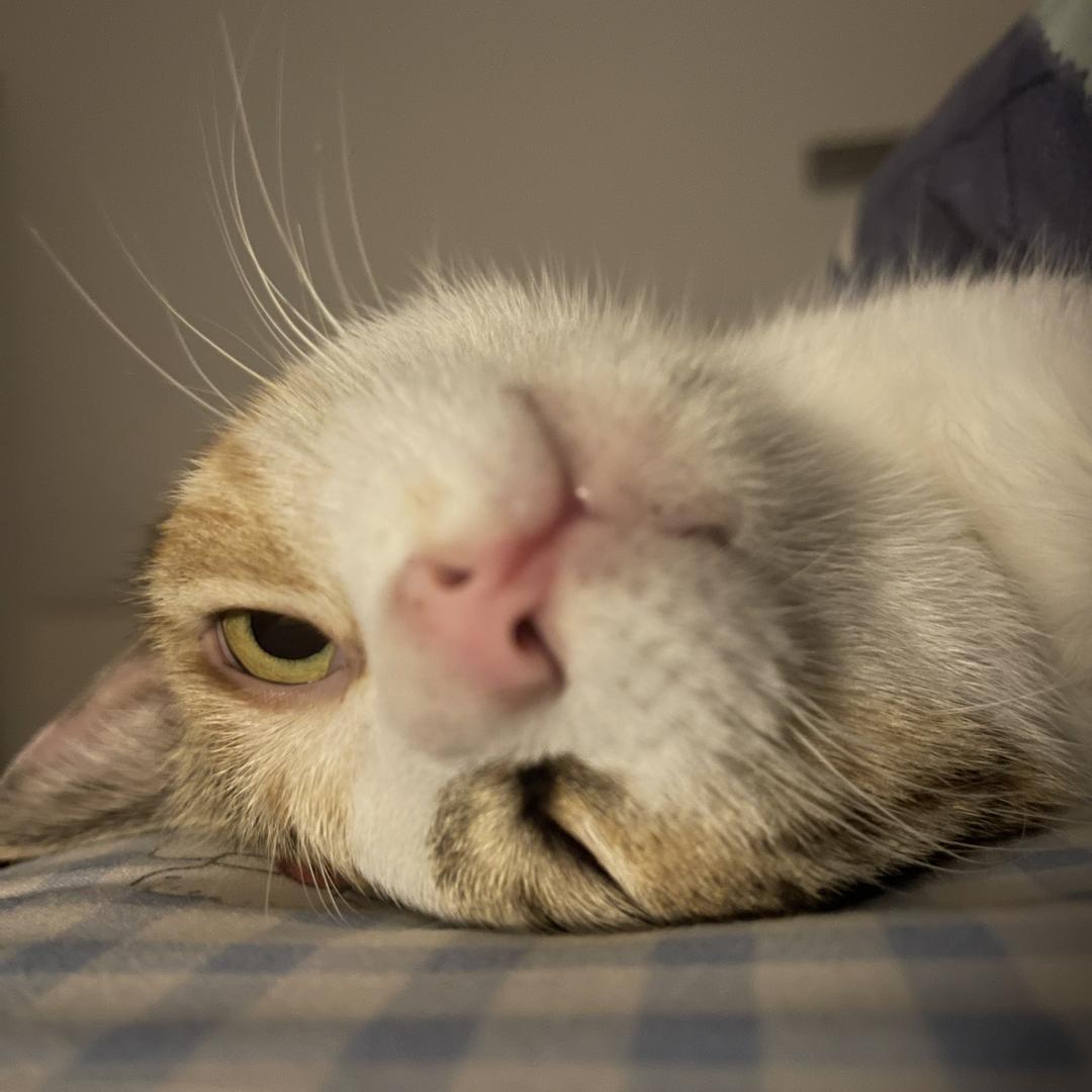 睡到自然醒⛅️