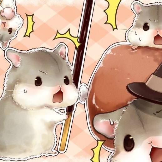 猫崽拆卡