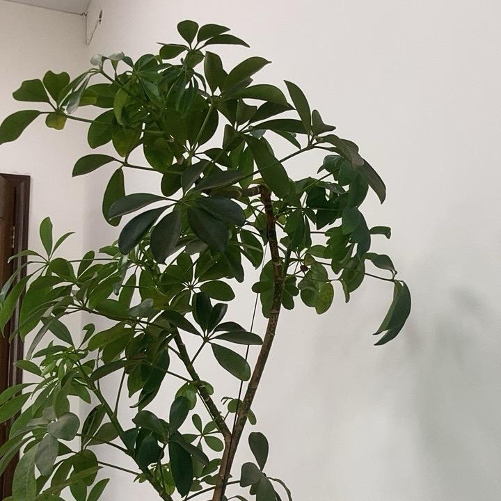 用户6307973490453