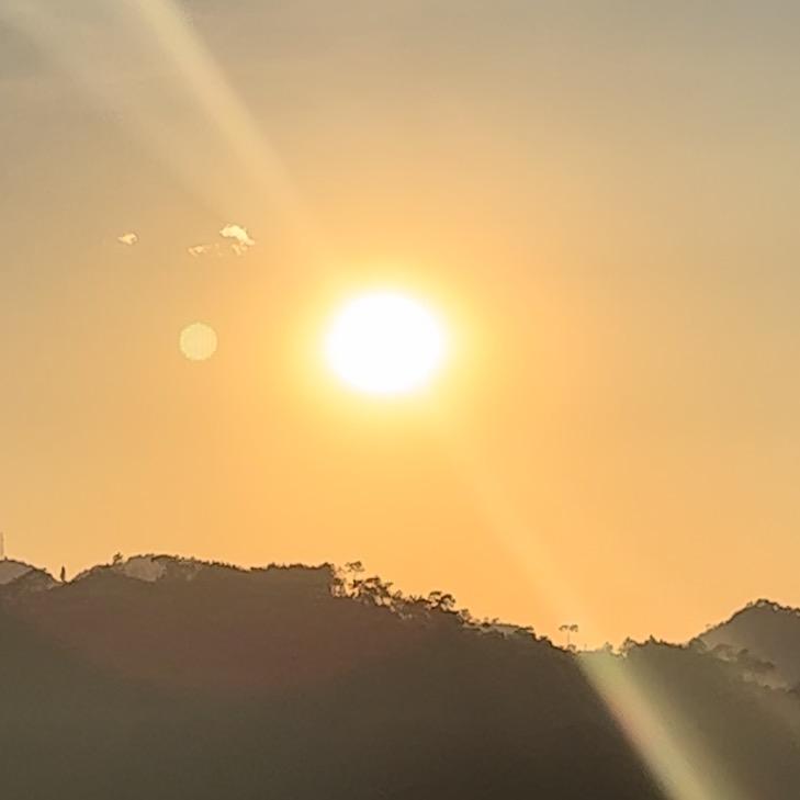 枣叔
