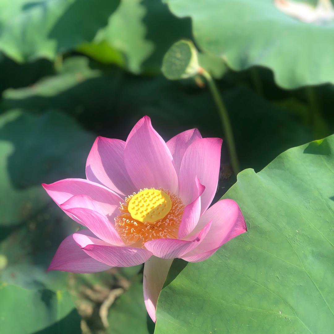 小宝贝