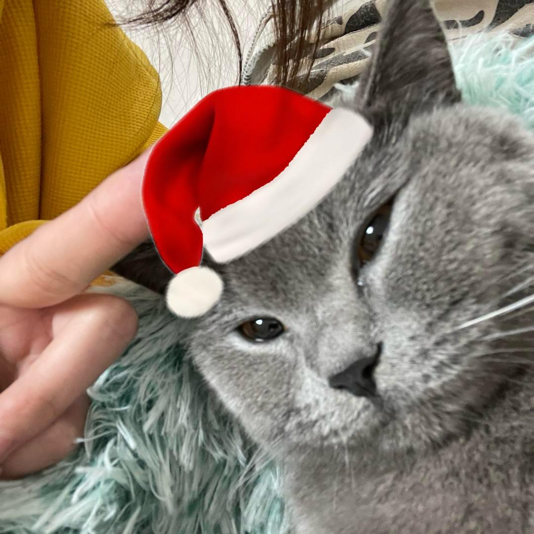 若要由我来谈论爱的话