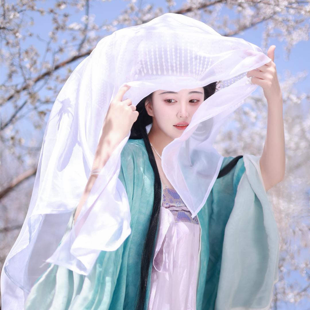 沈槐安