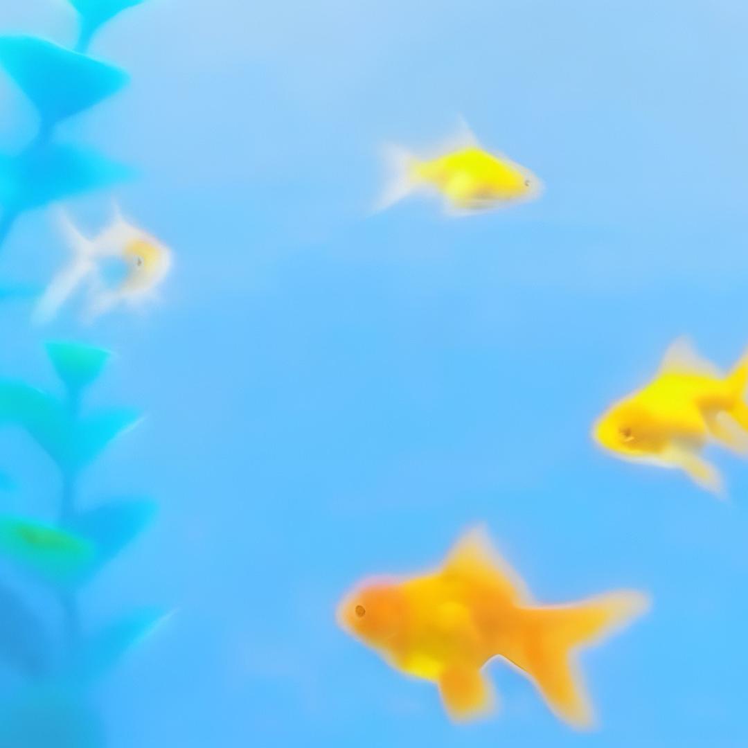 芸芸