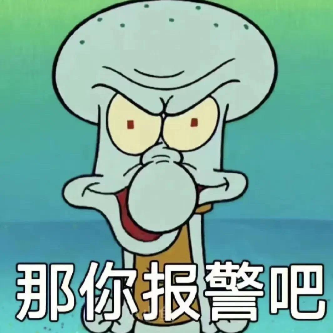 就爱旅游的大聪明