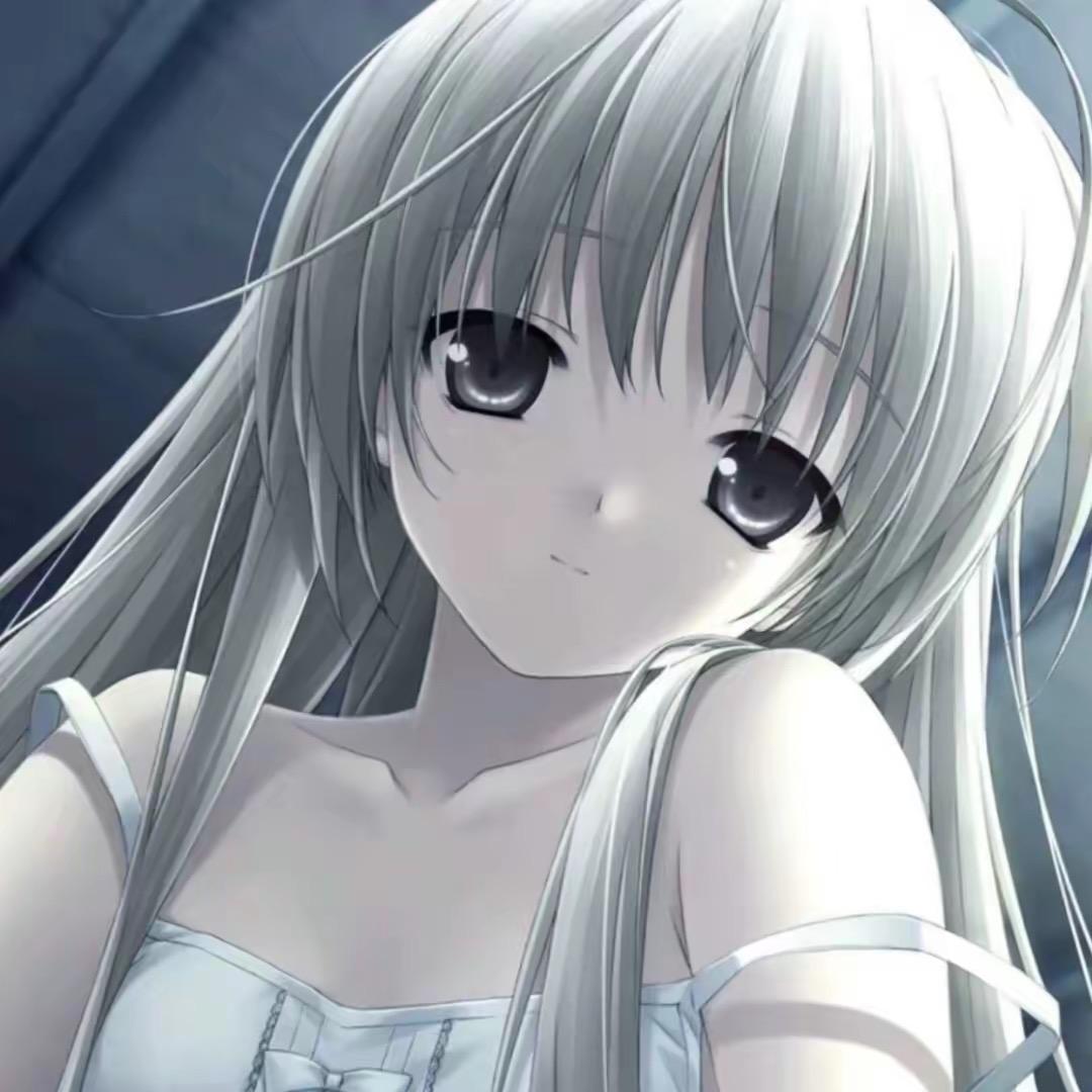钵钵兔.