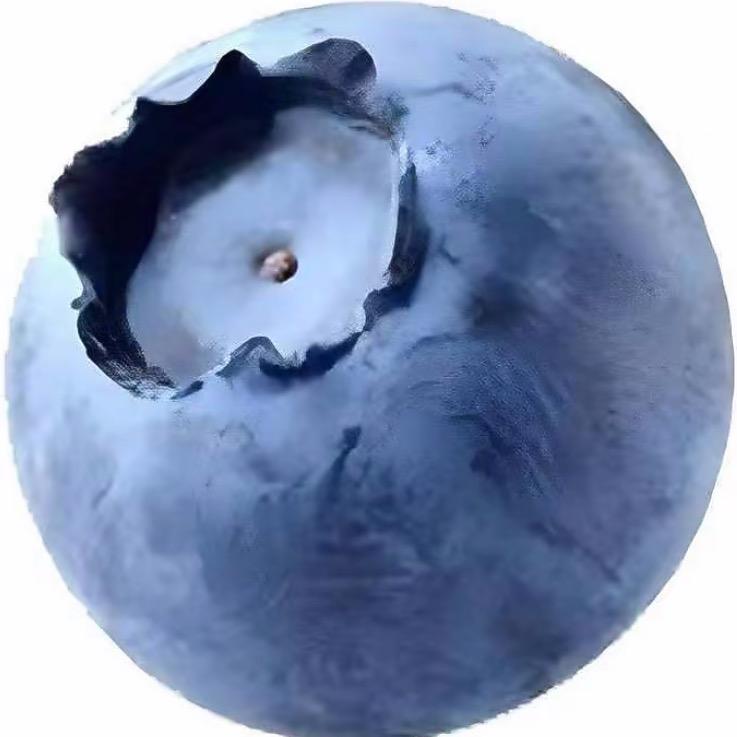 泽粒尓
