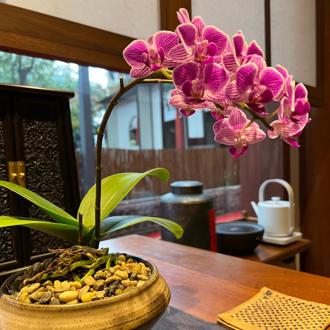 小装