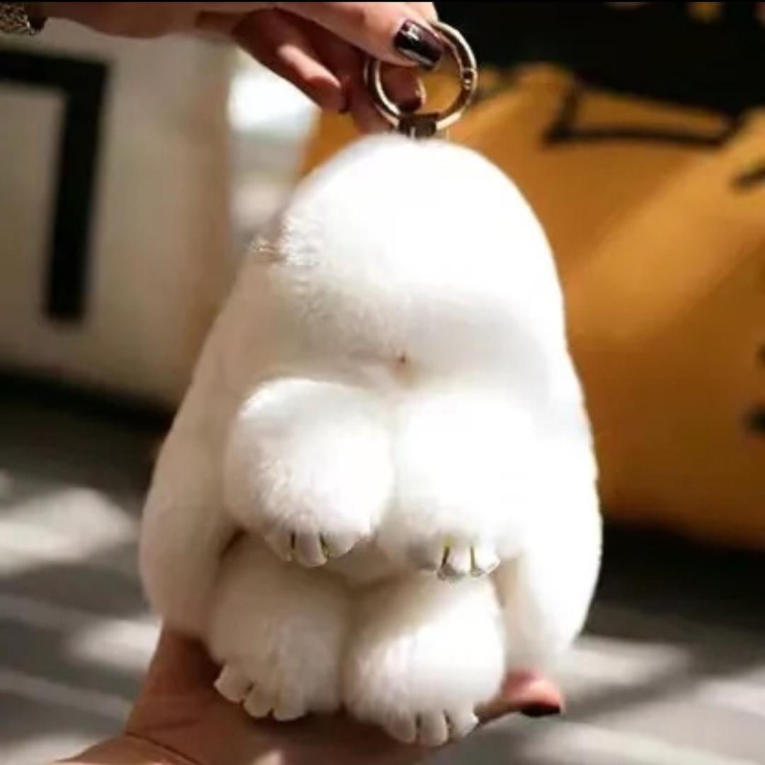 🍀陌上清风雨曲折&斌