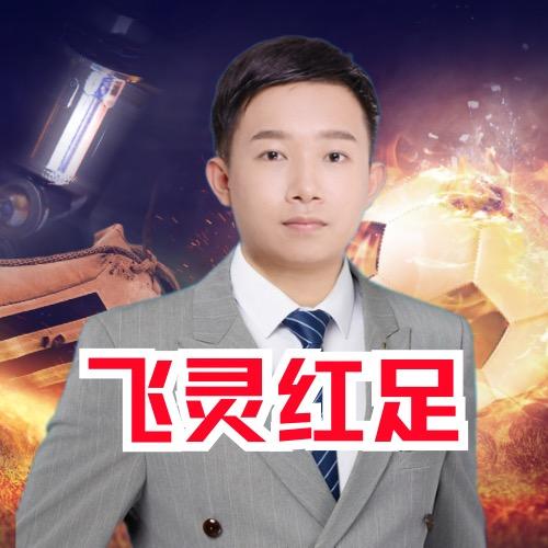 飞灵红足2