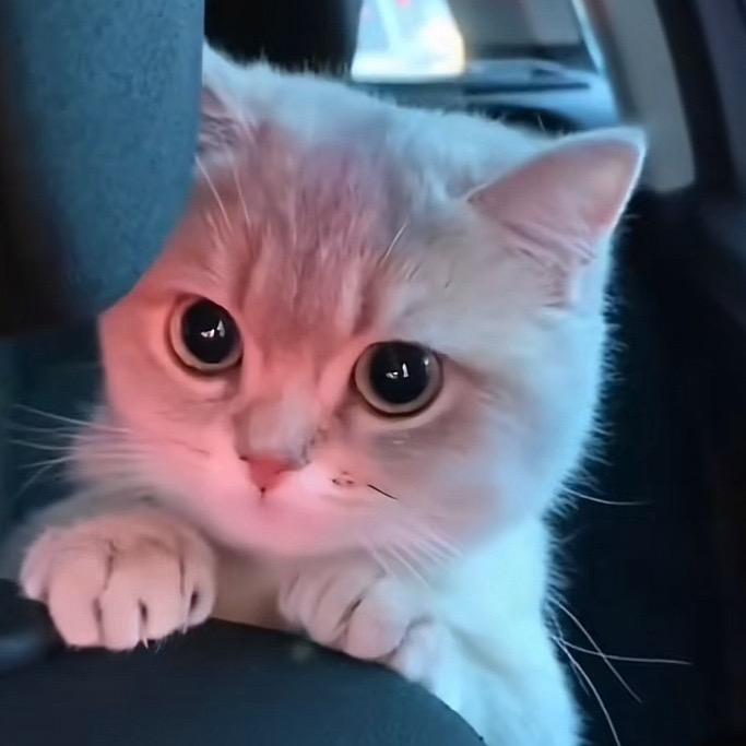 溪