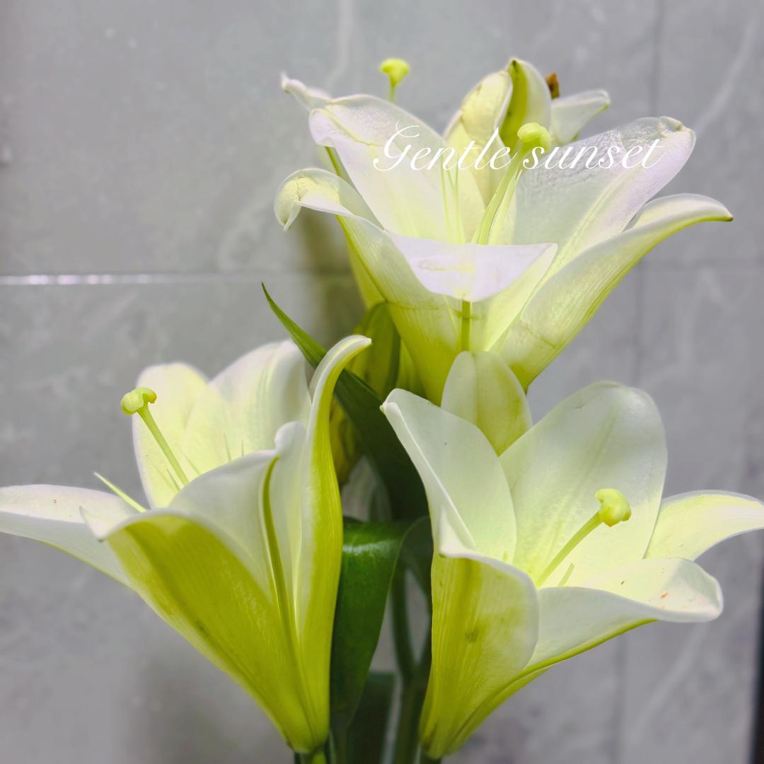 科技小铺源头工厂