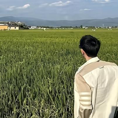 刘先生.