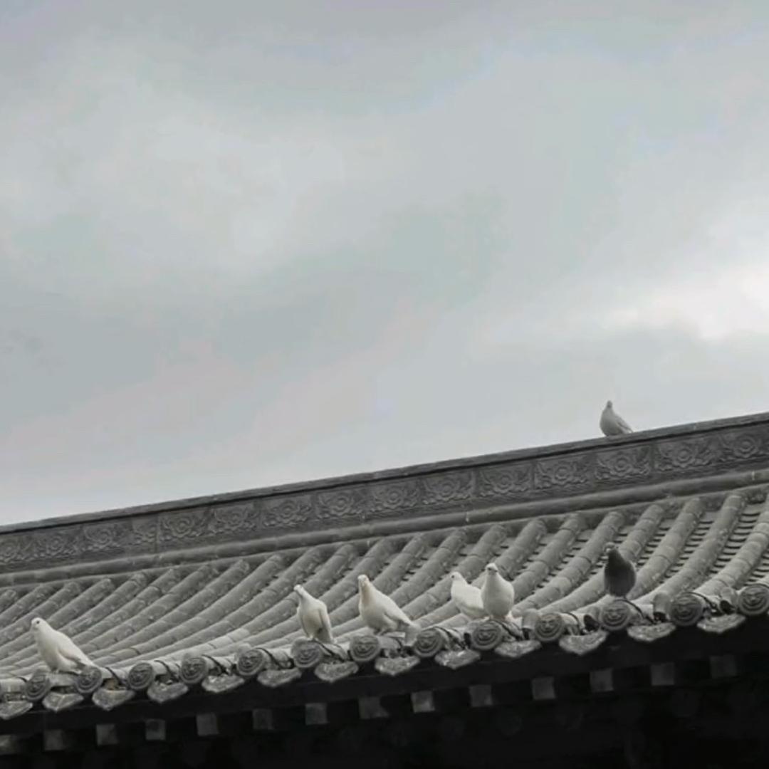 铁面包拯