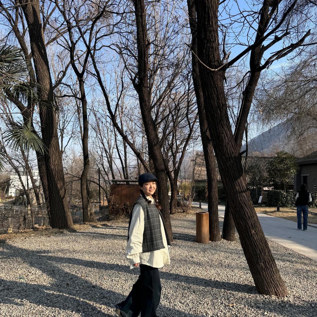 迷鹿森林🌳(努力版)