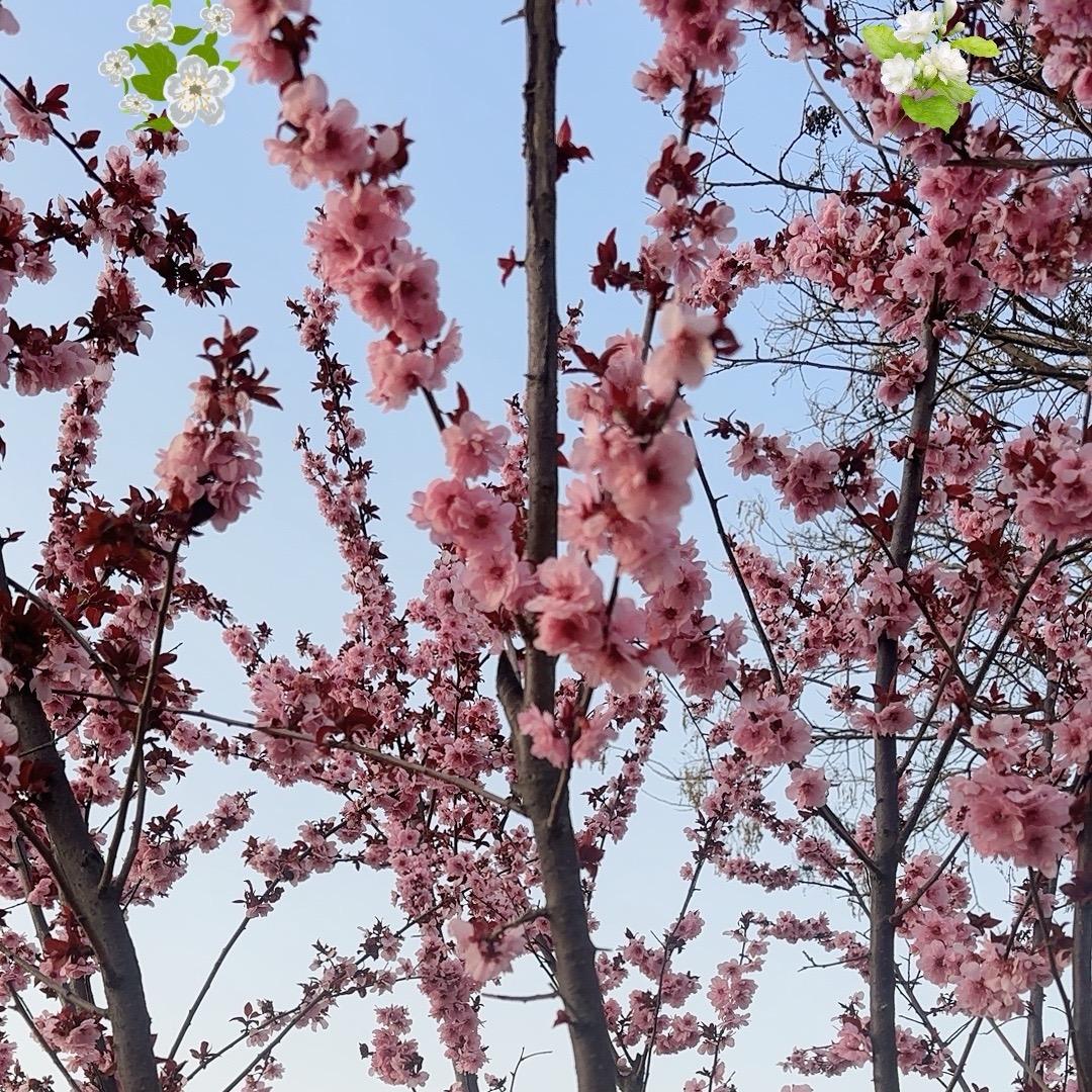 做工地的女孩👧