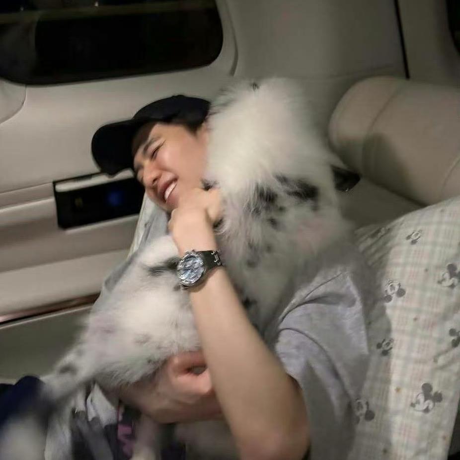 世界不能没有小狗
