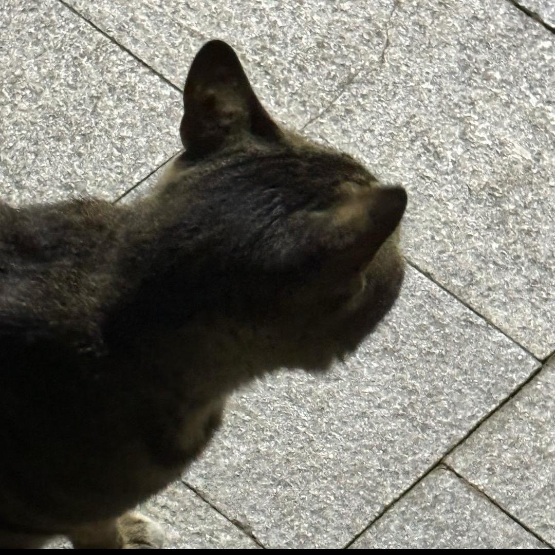 彭小小不小