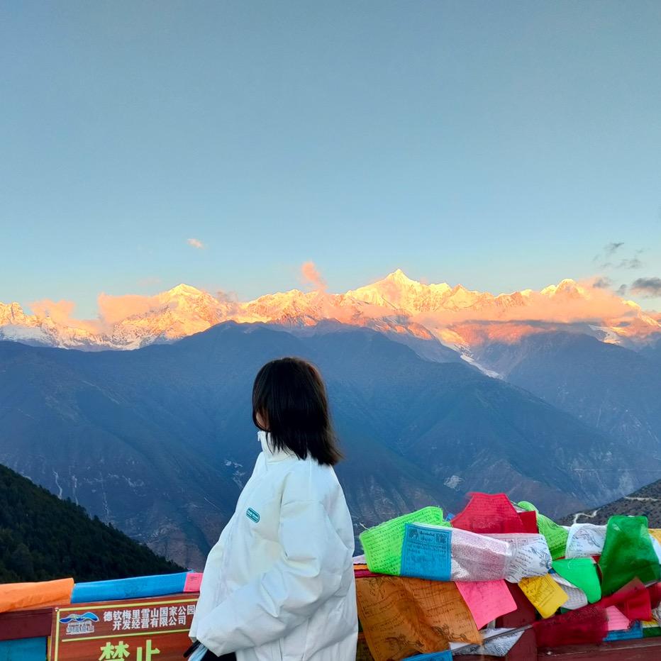 一颗番茄的人生