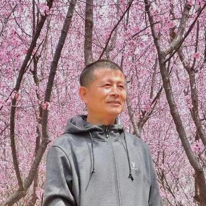 杨新林