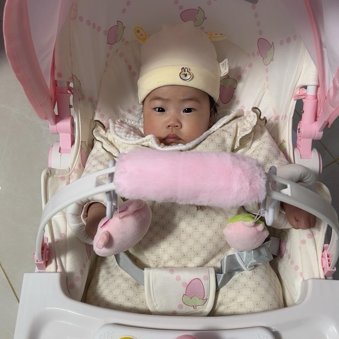 乌梅子酱