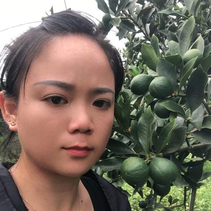 广西融安第三代脆蜜金桔下里寨