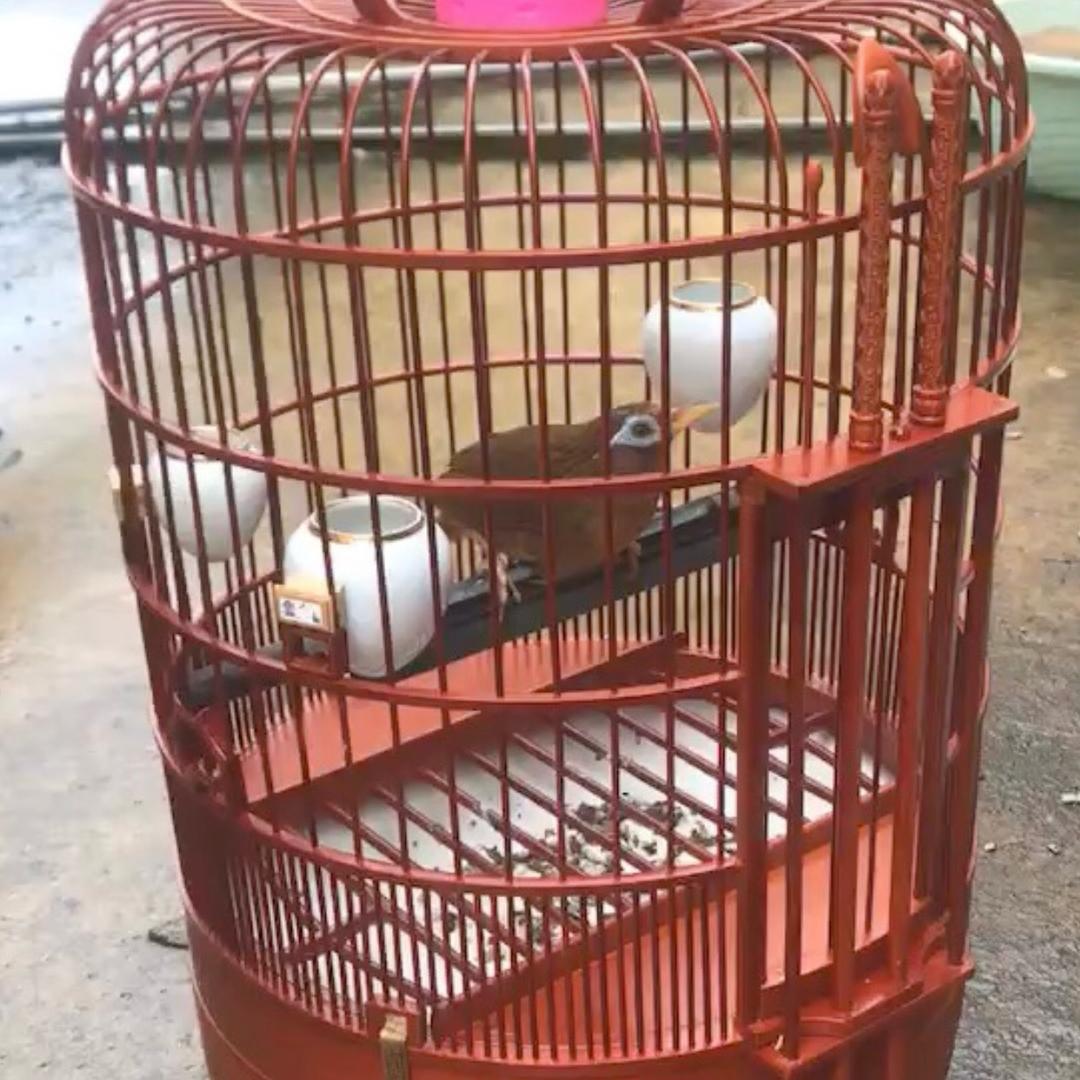 有情有义酒联系