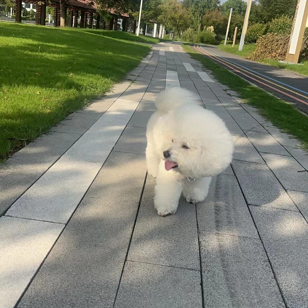 在下濤子