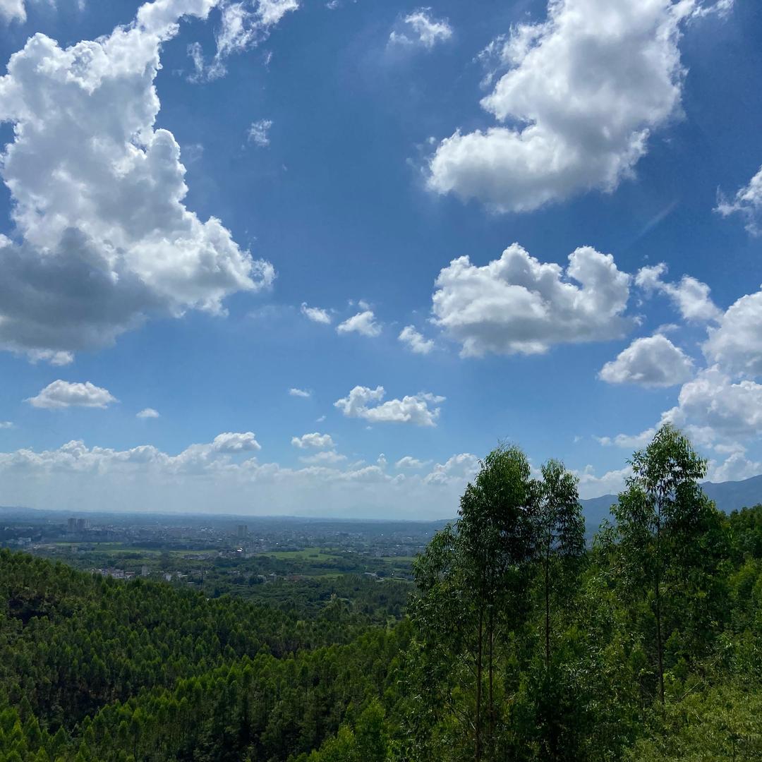 广西彬仔农家特产