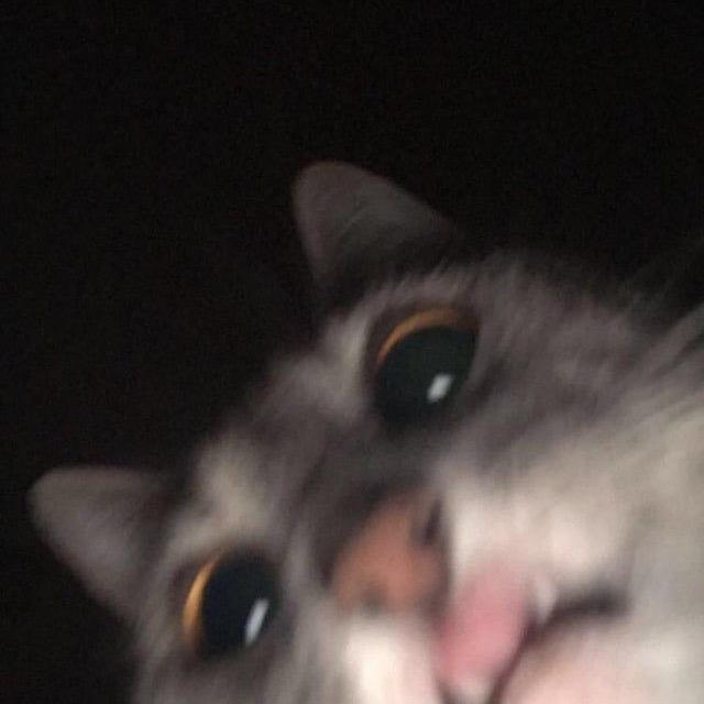 郑愷欣开心