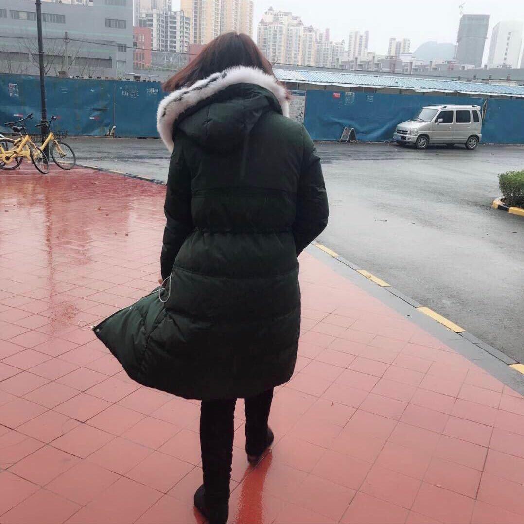 燕子，